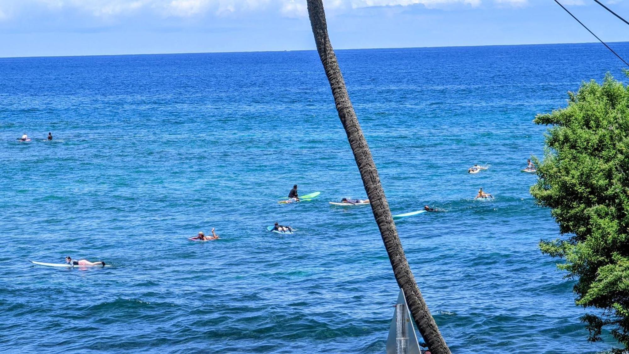 Seaspray Oceanview Lägenhet Kailua-Kona Exteriör bild